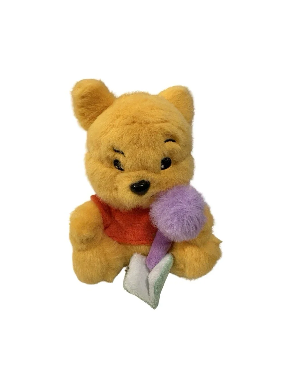 Winnie The Pooh HUNNY HUGS 5